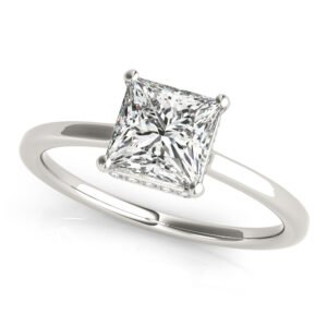 Square & Princess Cut Hidden Halo Engagement Ring