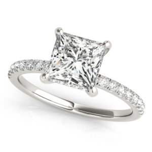 Princess Cut Hidden Halo Engagement Ring