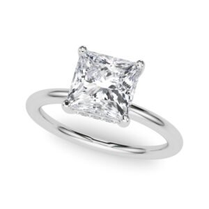 Hidden Halo Princess Cut Engagement Ring