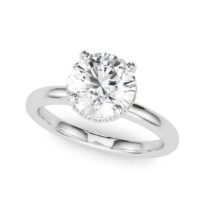 Double Hidden Halo Round Engagement Ring