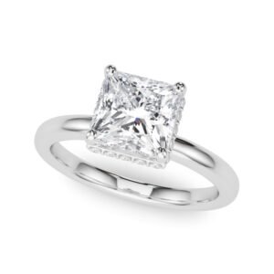 Double Hidden Halo Princess Cut Engagement Ring