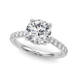 Round Hidden Halo Engagement Ring