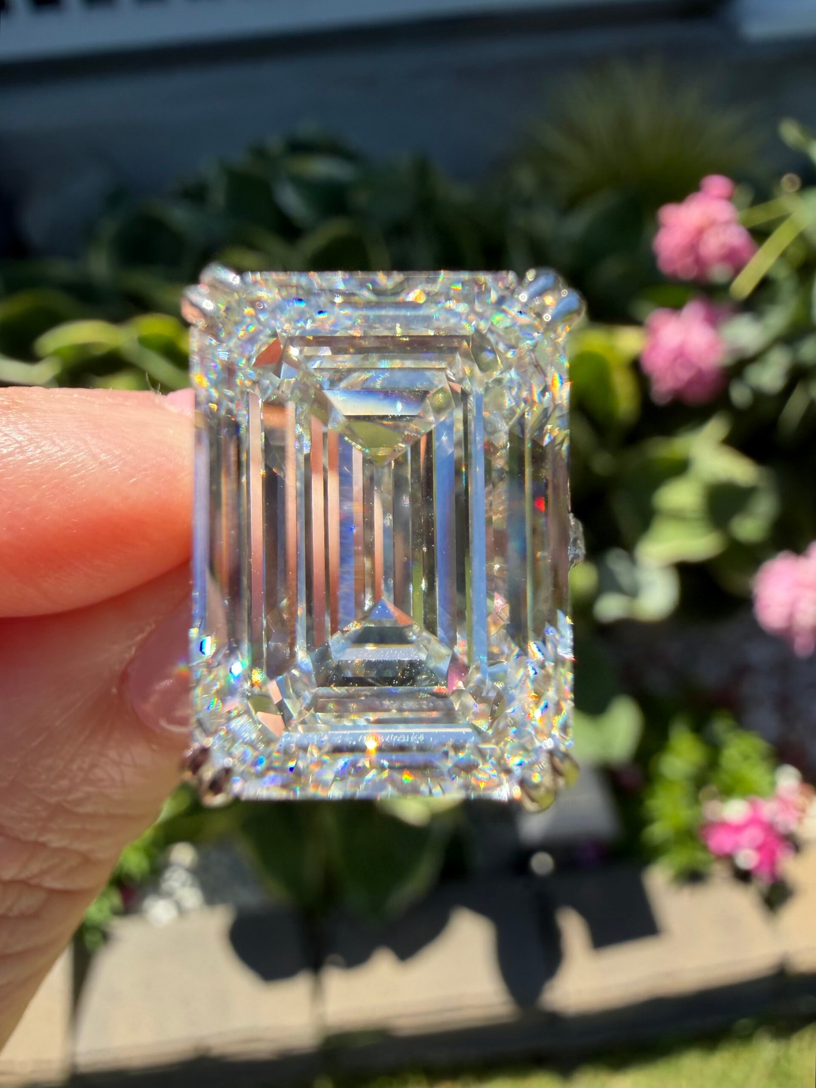 Shinnyshopper 5